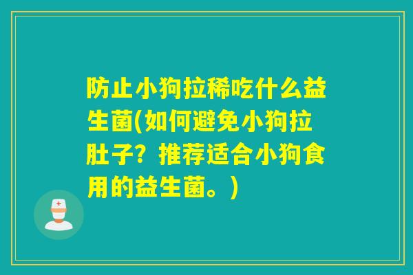 防止小狗拉稀吃什么益生菌(如何避免小狗拉肚子？推荐适合小狗食用的益生菌。)