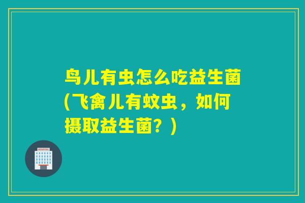 鸟儿有虫怎么吃益生菌(飞禽儿有蚊虫，如何摄取益生菌？)