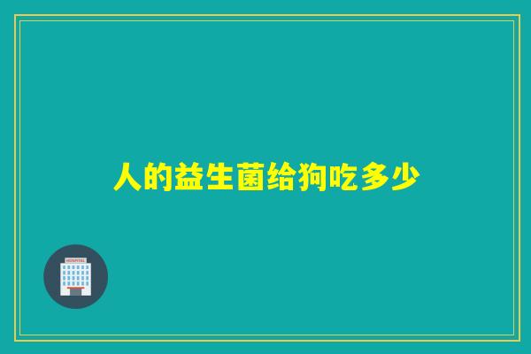 详细阅读:人的益生菌给狗吃多少 人的益生菌给狗吃多少