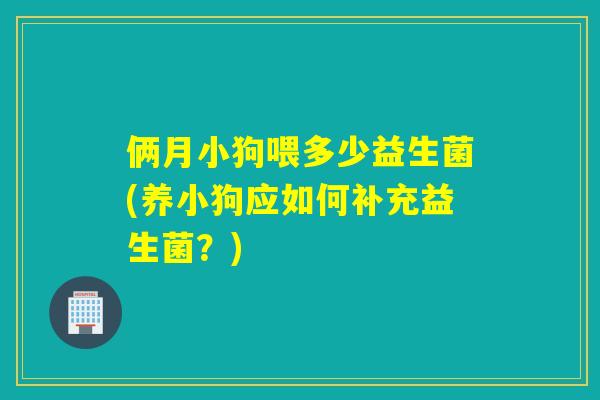 俩月小狗喂多少益生菌(养小狗应如何补充益生菌？)