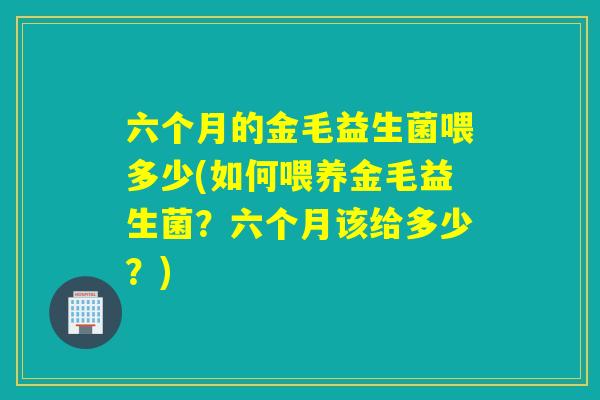 六个月的金毛益生菌喂多少(如何喂养金毛益生菌？六个月该给多少？)