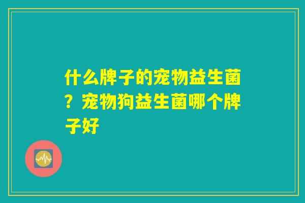 什么牌子的宠物益生菌？宠物狗益生菌哪个牌子好