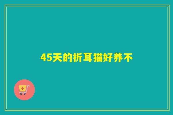 45天的折耳猫好养不