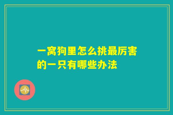 一窝狗里怎么挑最厉害的一只有哪些办法
