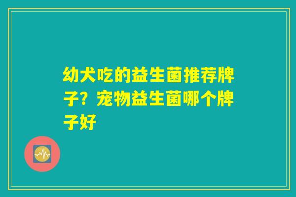 幼犬吃的益生菌推荐牌子？宠物益生菌哪个牌子好