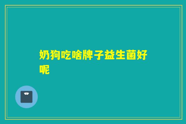 奶狗吃啥牌子益生菌好呢