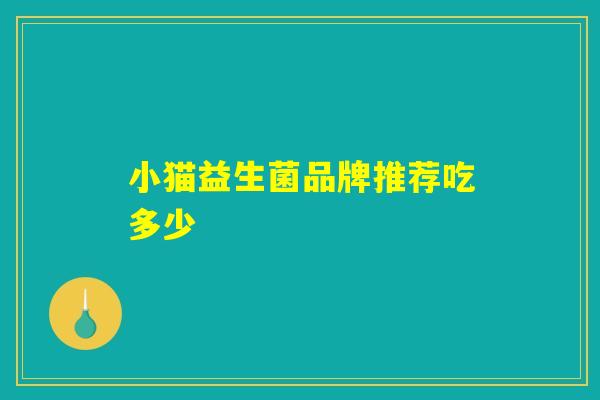 小猫益生菌品牌推荐吃多少