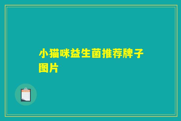 小猫咪益生菌推荐牌子图片
