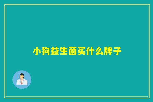 小狗益生菌买什么牌子