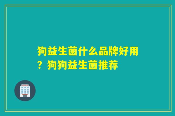 狗益生菌什么品牌好用？狗狗益生菌推荐