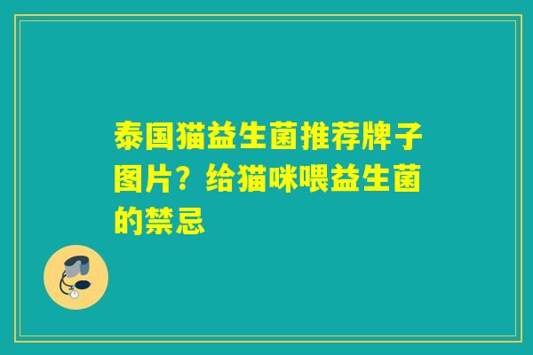 泰国猫益生菌推荐牌子图片？给猫咪喂益生菌的禁忌