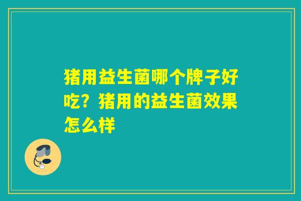 猪用益生菌哪个牌子好吃？猪用的益生菌效果怎么样