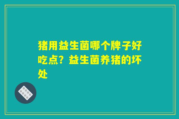 猪用益生菌哪个牌子好吃点？益生菌养猪的坏处