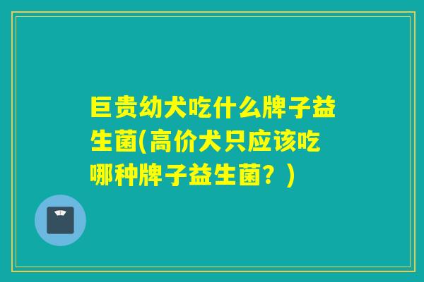 巨贵幼犬吃什么牌子益生菌(高价犬只应该吃哪种牌子益生菌？)