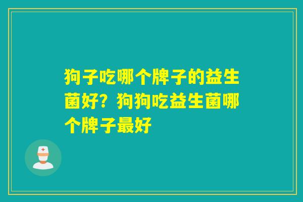 狗子吃哪个牌子的益生菌好？狗狗吃益生菌哪个牌子最好