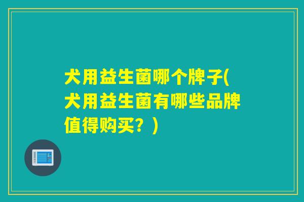 犬用益生菌哪个牌子(犬用益生菌有哪些品牌值得购买？)