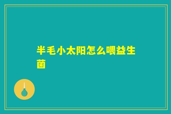 半毛小太阳怎么喂益生菌
