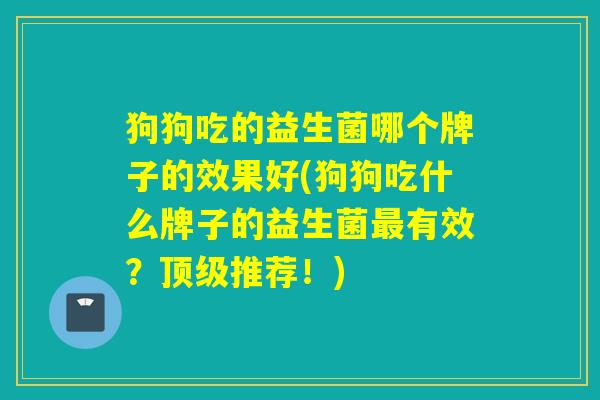 狗狗吃的益生菌哪个牌子的效果好(狗狗吃什么牌子的益生菌最有效？顶级推荐！)