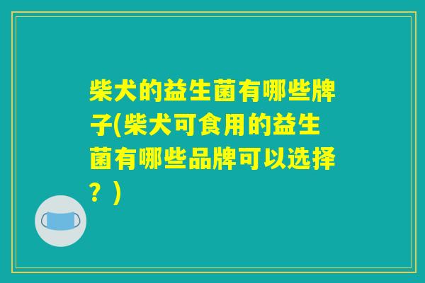 柴犬的益生菌有哪些牌子(柴犬可食用的益生菌有哪些品牌可以选择？)