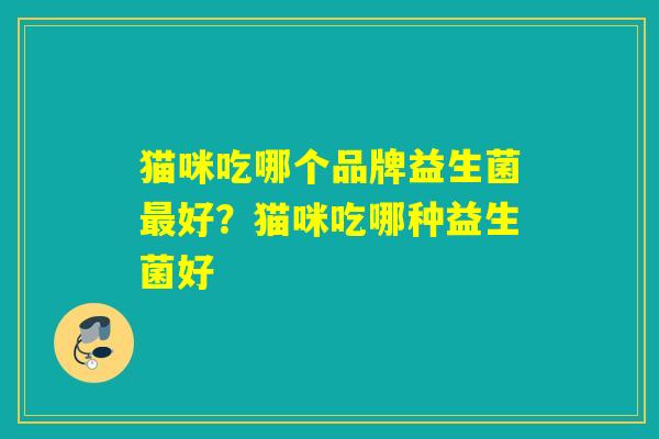 猫咪吃哪个品牌益生菌最好？猫咪吃哪种益生菌好