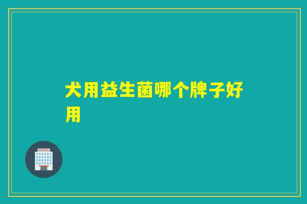 犬用益生菌哪个牌子好用
