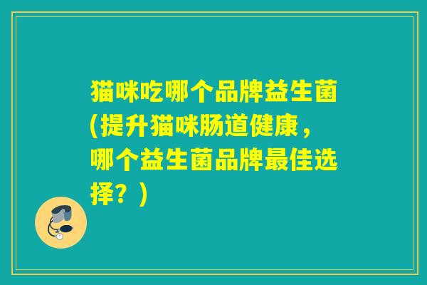 猫咪吃哪个品牌益生菌(提升猫咪肠道健康，哪个益生菌品牌最佳选择？)