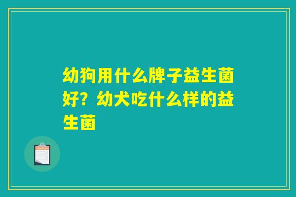 幼狗用什么牌子益生菌好？幼犬吃什么样的益生菌