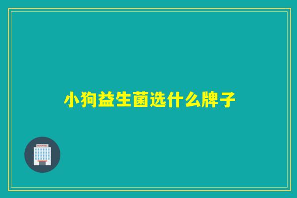 小狗益生菌选什么牌子