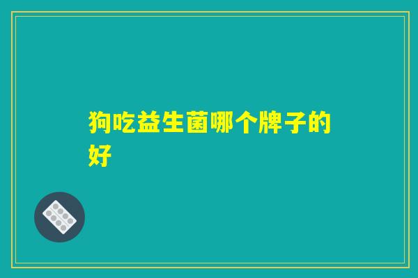 狗吃益生菌哪个牌子的好