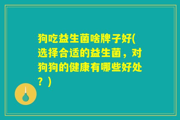 狗吃益生菌啥牌子好(选择合适的益生菌,对狗狗的健康有哪些好处?) 狗吃益生菌啥牌子好(选择合适的益生菌,对狗狗的健康有哪些好处?)