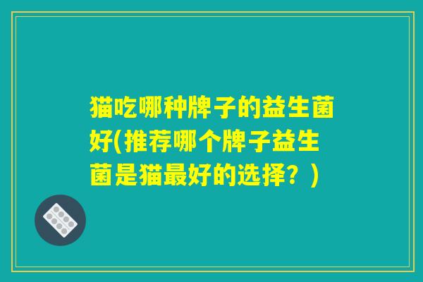猫吃哪种牌子的益生菌好(推荐哪个牌子益生菌是猫最好的选择？)