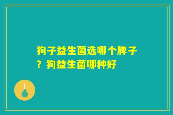 狗子益生菌选哪个牌子？狗益生菌哪种好