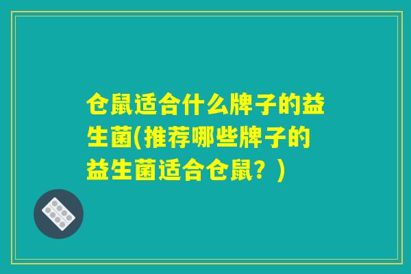 仓鼠适合什么牌子的益生菌(推荐哪些牌子的益生菌适合仓鼠？)