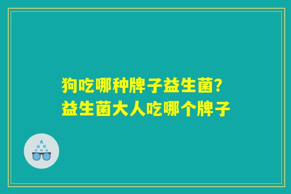 狗吃哪种牌子益生菌?益生菌大人吃哪个牌子 狗吃哪种牌子益生菌?益生菌大人吃哪个牌子
