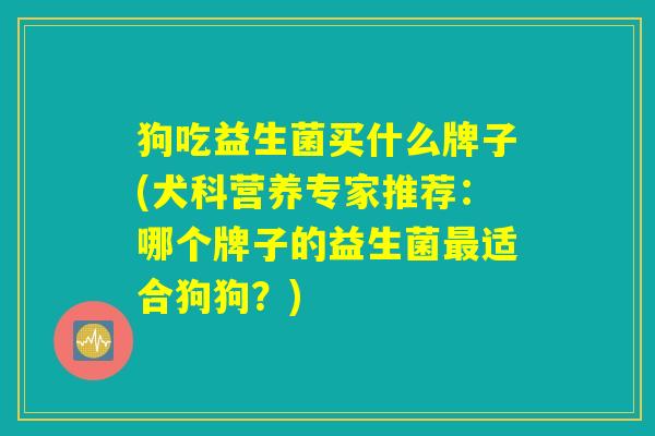 狗吃益生菌买什么牌子(犬科营养专家推荐：哪个牌子的益生菌最适合狗狗？)