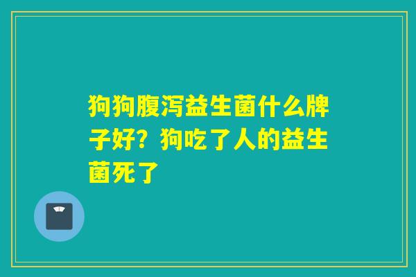 狗狗腹泻益生菌什么牌子好？狗吃了人的益生菌死了