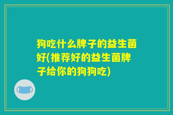狗吃什么牌子的益生菌好(推荐好的益生菌牌子给你的狗狗吃)