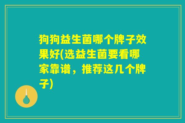 狗狗益生菌哪个牌子效果好(选益生菌要看哪家靠谱，推荐这几个牌子)