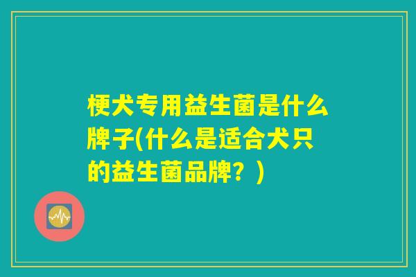 梗犬专用益生菌是什么牌子(什么是适合犬只的益生菌品牌？)