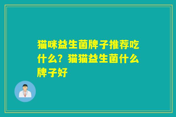 猫咪益生菌牌子推荐吃什么？猫猫益生菌什么牌子好
