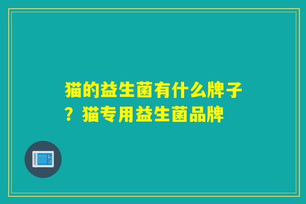 猫的益生菌有什么牌子？猫专用益生菌品牌