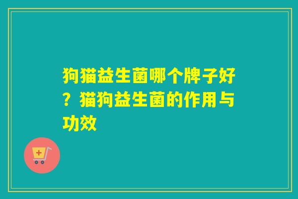 狗猫益生菌哪个牌子好？猫狗益生菌的作用与功效