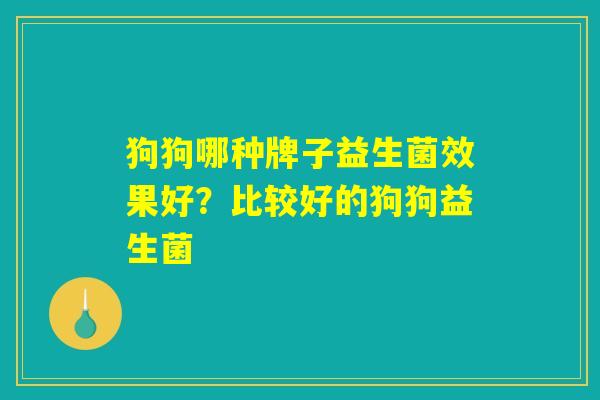 狗狗哪种牌子益生菌效果好?比较好的狗狗益生菌 狗狗哪种牌子益生菌效果好?比较好的狗狗益生菌