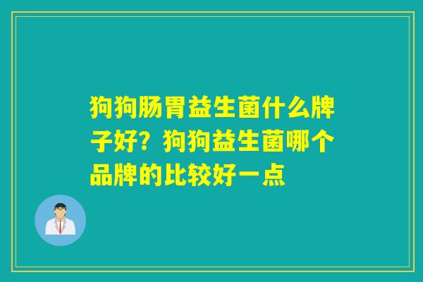 狗狗肠胃益生菌什么牌子好？狗狗益生菌哪个品牌的比较好一点
