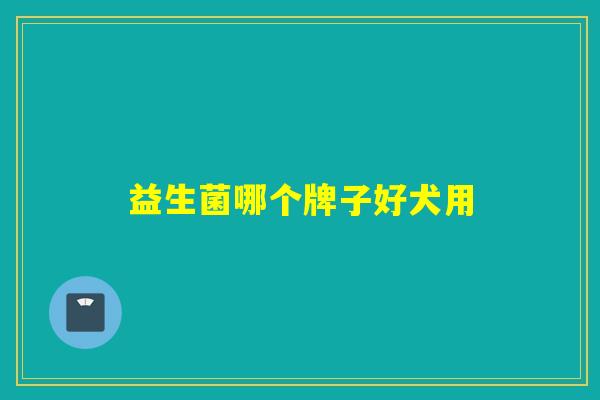 益生菌哪个牌子好犬用
