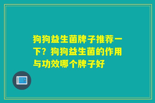 狗狗益生菌牌子推荐一下？狗狗益生菌的作用与功效哪个牌子好