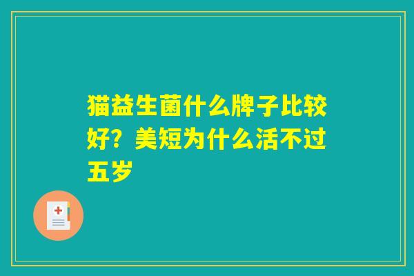 猫益生菌什么牌子比较好？美短为什么活不过五岁
