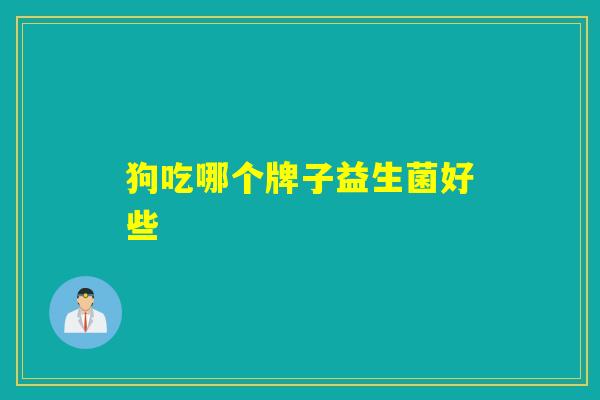 狗吃哪个牌子益生菌好些