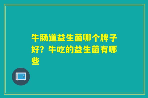 牛肠道益生菌哪个牌子好？牛吃的益生菌有哪些