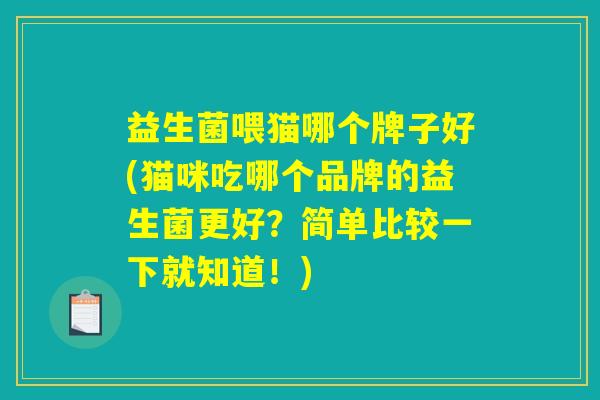 益生菌喂猫哪个牌子好(猫咪吃哪个品牌的益生菌更好？简单比较一下就知道！)
